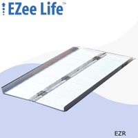 Portable Single Fold Ramps