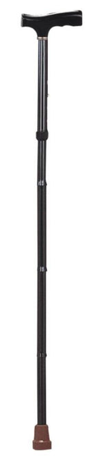 Walking Stick