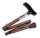 Walking Stick